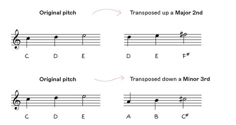 What Is Transpose in Music: A Multi-Layered Exploration